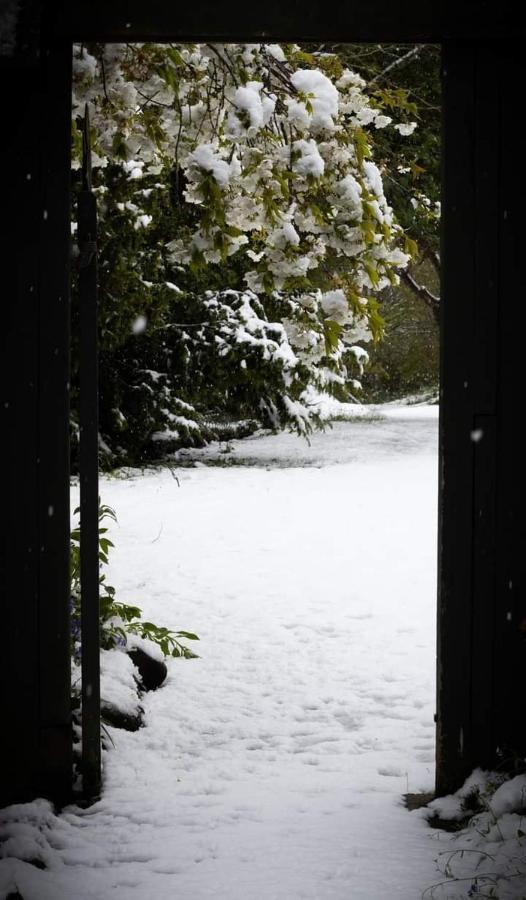 Arden Country House Bnb - Entire House To Yourself -Peace In The Country Дьюндин Экстерьер фото